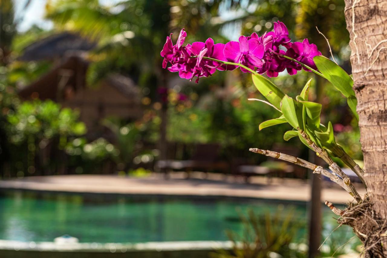 Ventura Barra Grande Hotel Barra Grande  Exterior photo